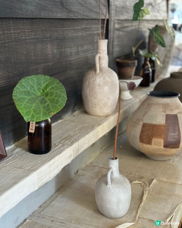 佛山糧園｜盏圭 ZenGleam｜古色古香打卡咖啡店
