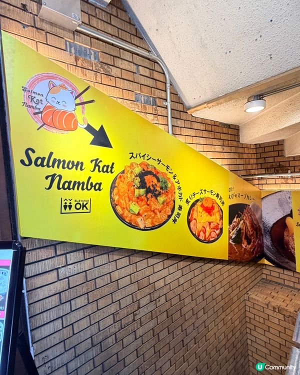大阪三文魚丼🍣✨好chill！