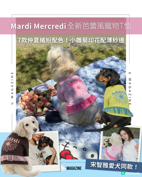 Mardi Mercredi全新芭蕾風寵物T恤🩰🐩👗