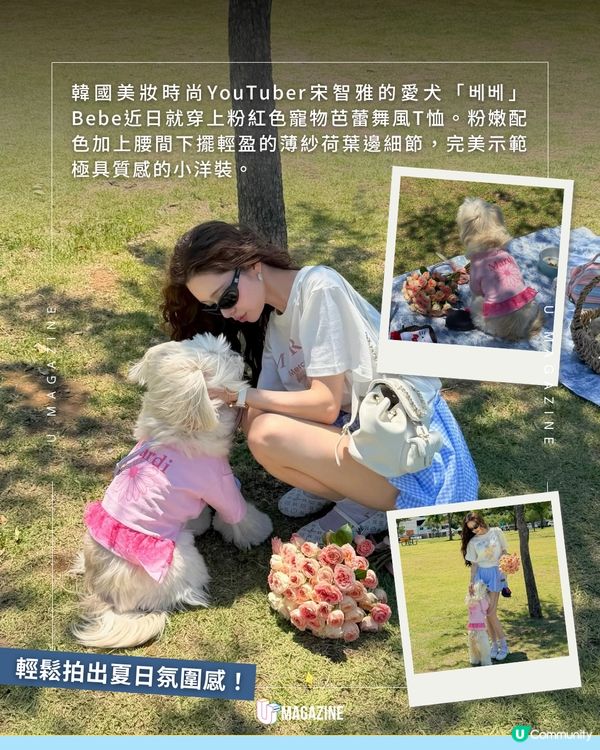 Mardi Mercredi全新芭蕾風寵物T恤🩰🐩👗