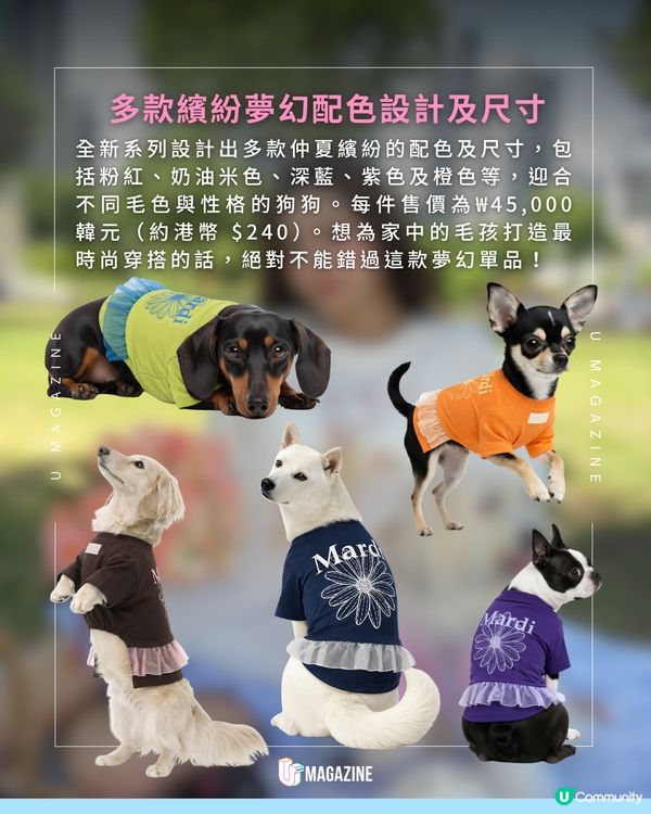 Mardi Mercredi全新芭蕾風寵物T恤🩰🐩👗