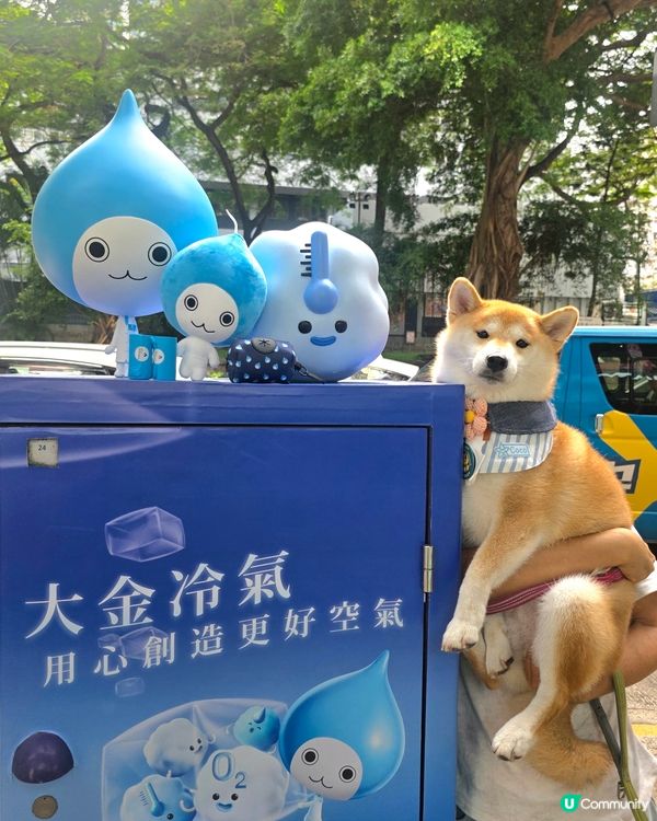嘩！經過尖沙咀竟然比我捕獲到超得意嘅大金冷氣水滴仔 Pich...