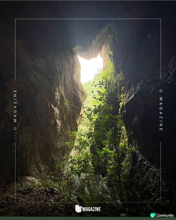 「巨型貓咪」藏在山谷深處？零修圖! 日本愛知縣爆紅天然秘境                                                    