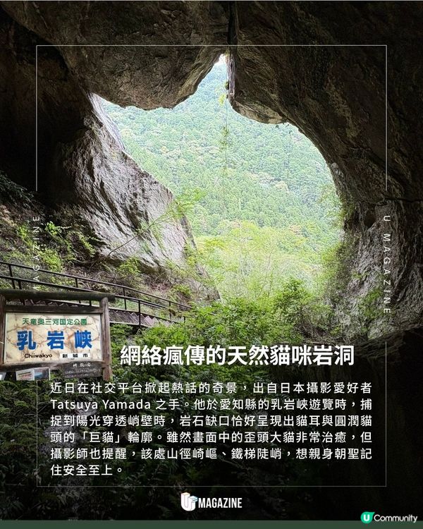 「巨型貓咪」藏在山谷深處？零修圖! 日本愛知縣爆紅天然秘境                                                    