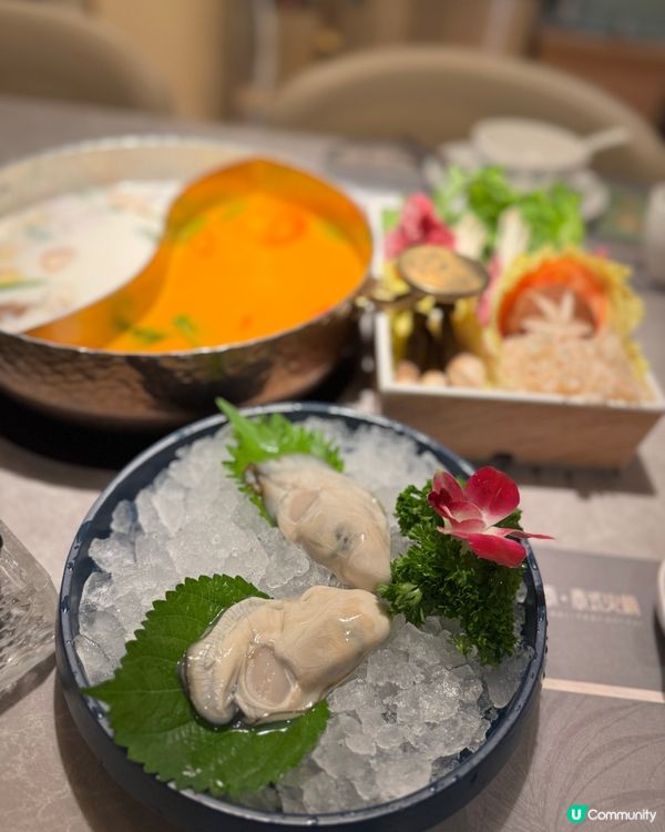 超正泰式bino 冬陰功湯底一流