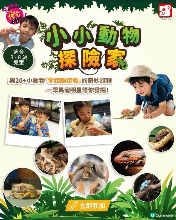 全港最大荷花bb展！💥🌸👶🏼