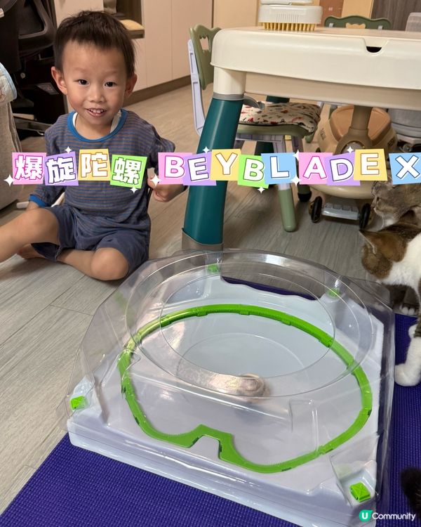 爆旋陀螺貓貓🐱睇到唔眨眼！🐈💨
