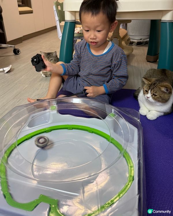 爆旋陀螺貓貓🐱睇到唔眨眼！🐈💨