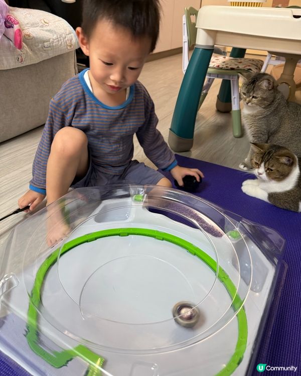 爆旋陀螺貓貓🐱睇到唔眨眼！🐈💨