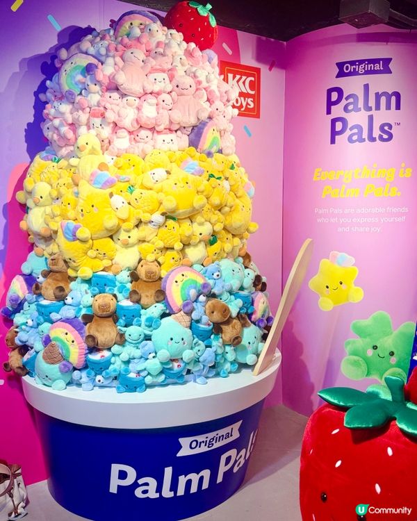 終於等到佢嚟香港啦😍韓國大熱 Plush Toysd Pal...