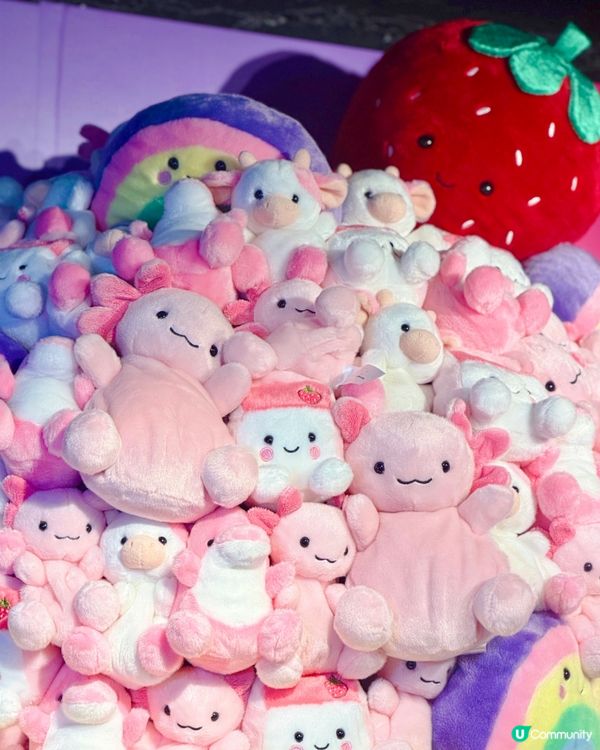 終於等到佢嚟香港啦😍韓國大熱 Plush Toysd Pal...