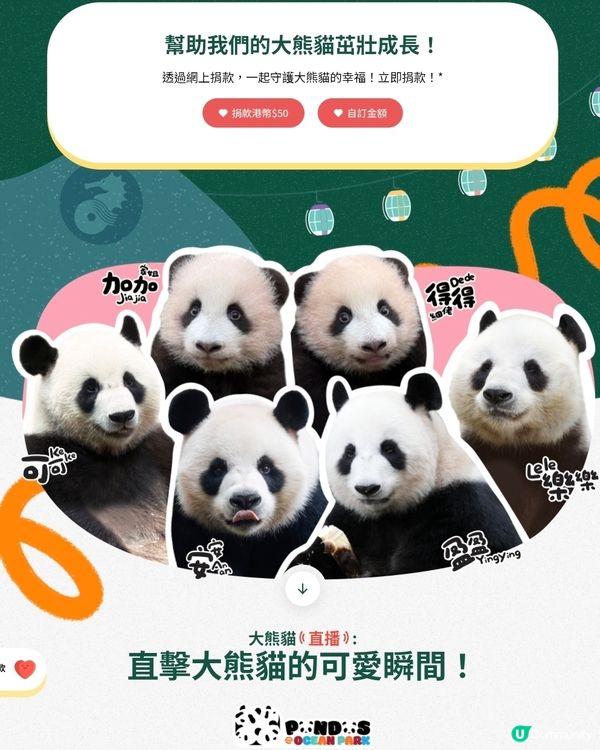 大熊貓