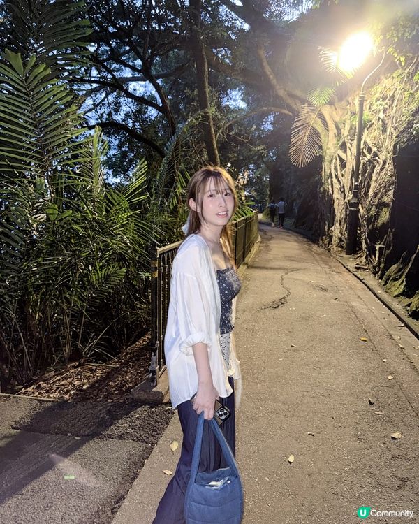 山頂纜車138歲生日慶典🥳全港最高立體光影匯演