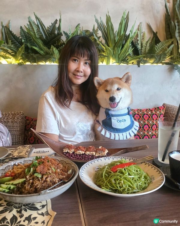 同 Tobey Coco 去啟德大草地放電，搵到呢間 Pet...