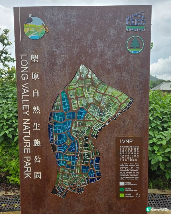 大自然的治癒魔力：一場由落湯雞到心靈洗滌的塱原鳥語之旅