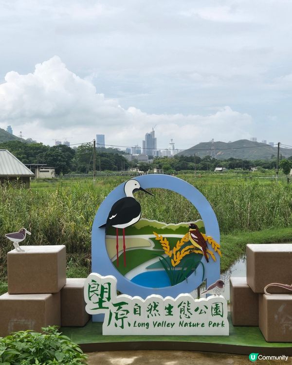 大自然的治癒魔力：一場由落湯雞到心靈洗滌的塱原鳥語之旅