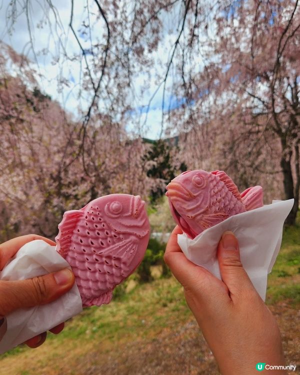 🌸【奈良隱世賞櫻】高見之鄉，粉紅仙境！✨
