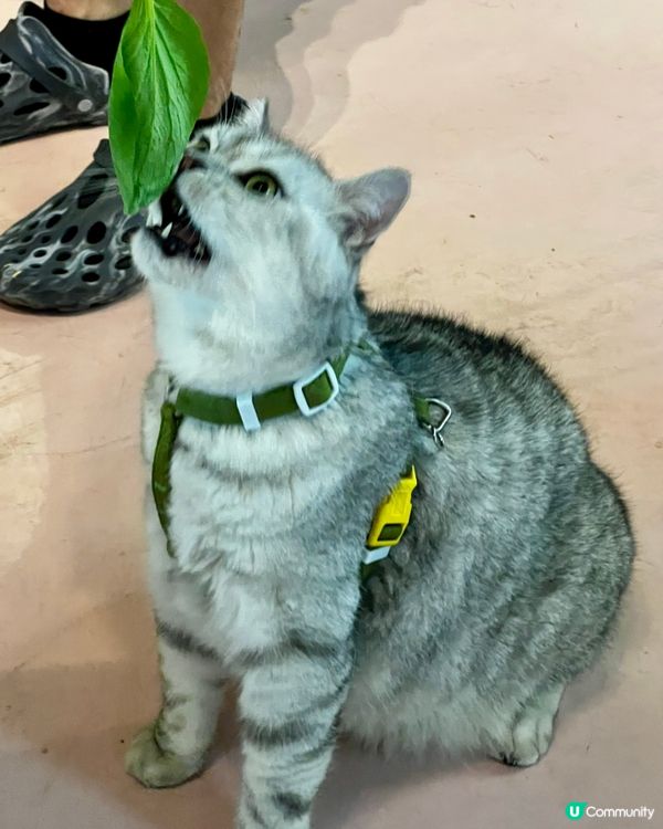 🦎深圳天河城｜遠古密碼·珍奇爬寵館✨