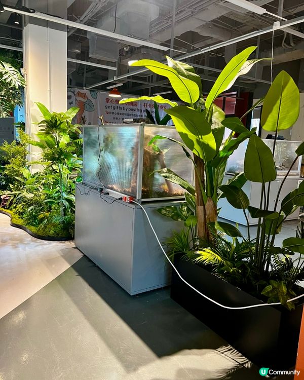 🦎深圳天河城｜遠古密碼·珍奇爬寵館✨