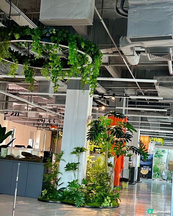 🦎深圳天河城｜遠古密碼·珍奇爬寵館✨