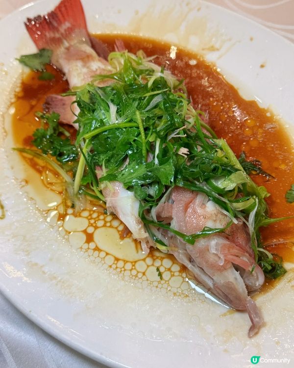 屯門酒樓晚市優惠