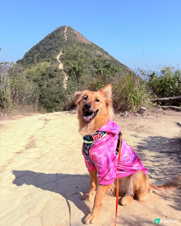 挑戰針山！⛰️💪🔥