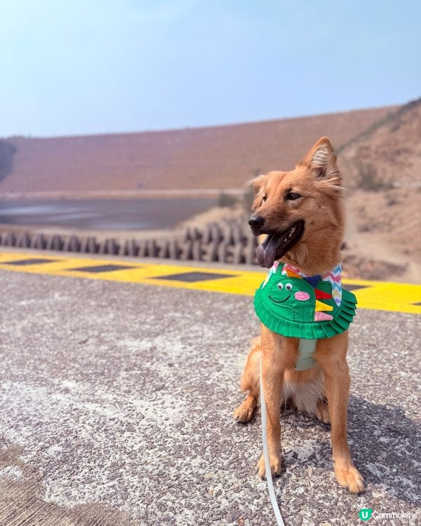 🦖💨萬宜壩超正！🏞️📸