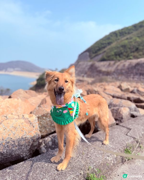 🦖💨萬宜壩超正！🏞️📸