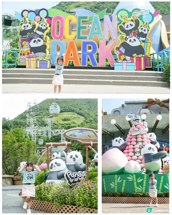 ՞•･•՞🐾 海洋公園大熊貓生日大派對
