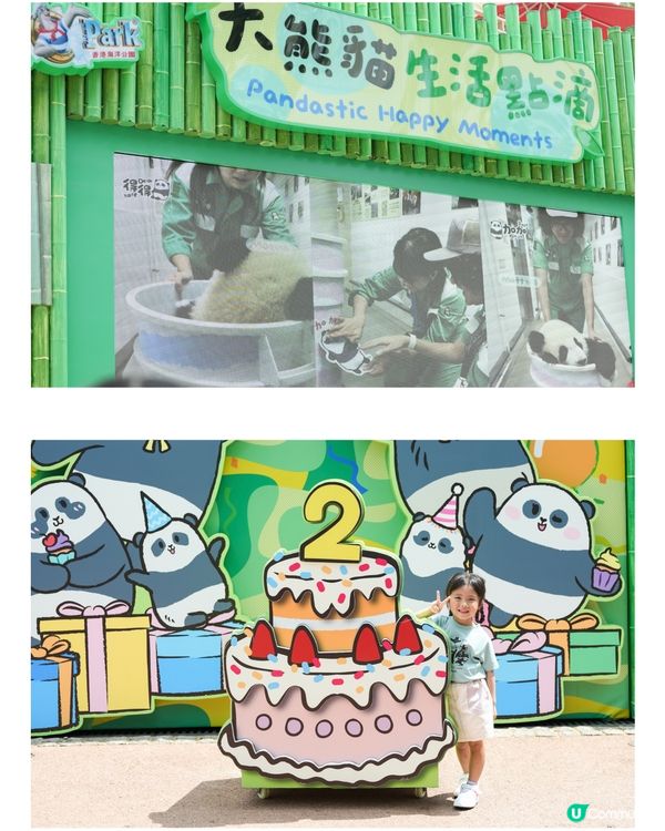 ՞•･•՞🐾 海洋公園大熊貓生日大派對