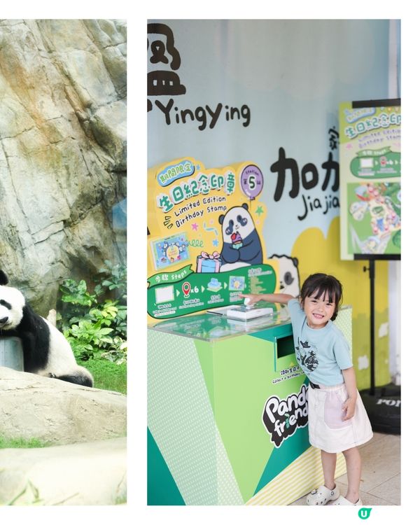 ՞•･•՞🐾 海洋公園大熊貓生日大派對