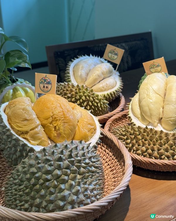 深圳寶安壹方城|一次食到十幾款馬來西亞榴槤