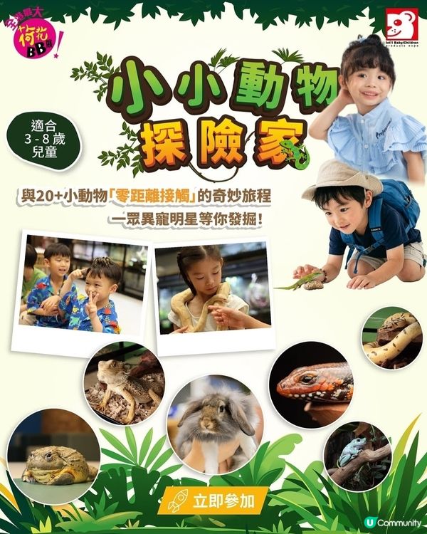 💥全港最大荷花BB展