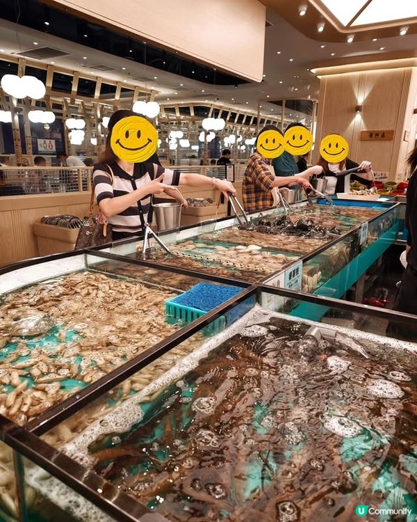 性價比高火鍋放題！任撈海鮮📈🔥🦐🦀🦑