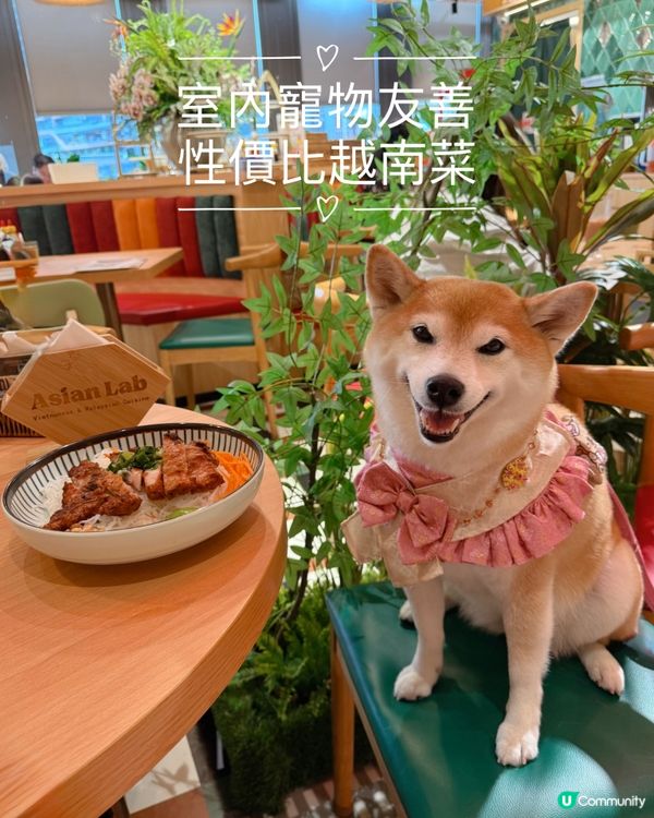 🌿室內寵物友善·性價比越南菜🇻🇳