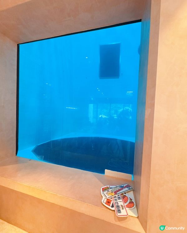 🤿潛立方📸🥄共構餐廳「SIZZO」🥣