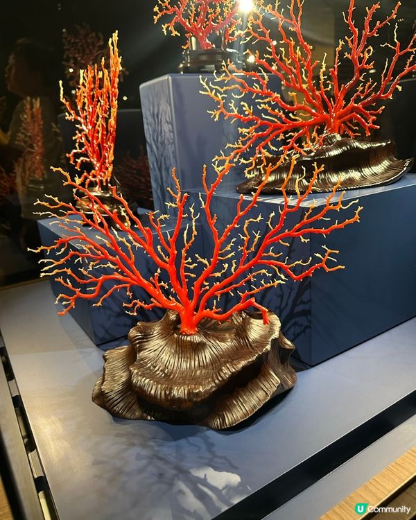 暑假親子必去 L’ECOLE珠寶藝術學院 《深珊藏珍》
