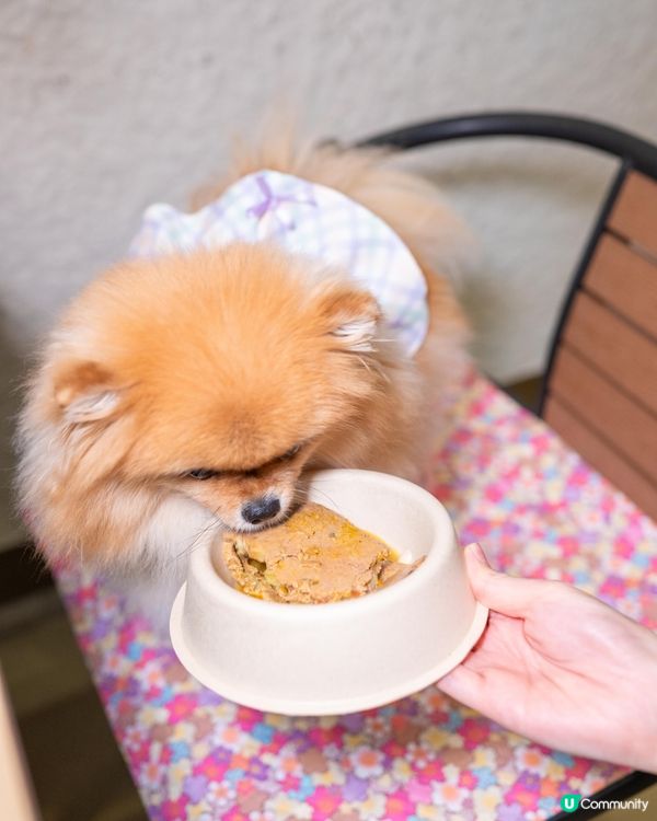 帶毛孩食大餐！特大士多啤梨芭菲杯打卡👑🐶✨