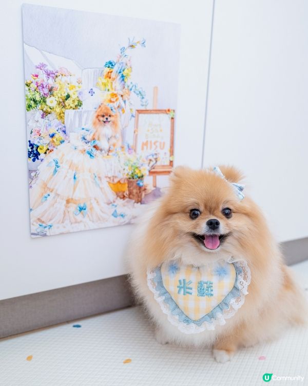 一鍵變藝術相？📲✨ 📸快圖美｜📸💖