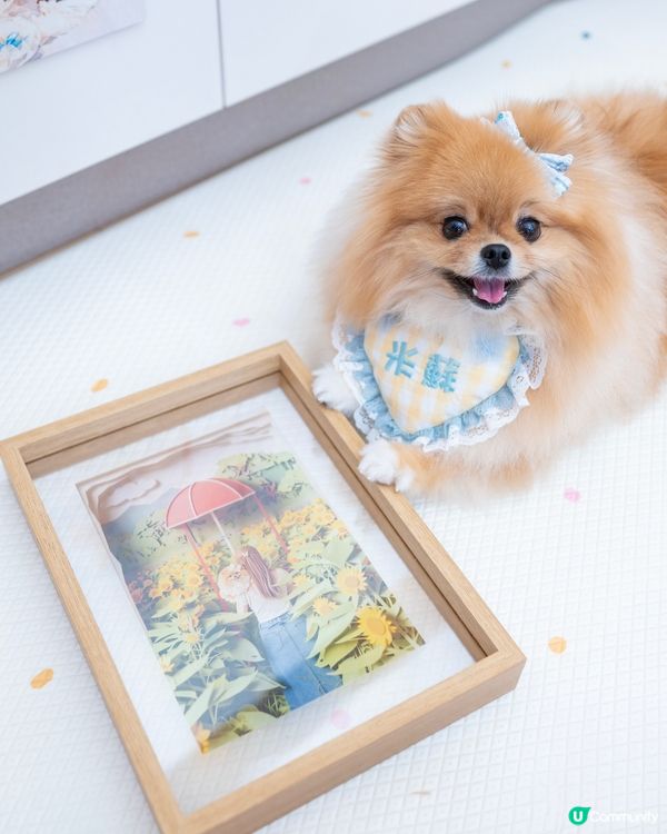 一鍵變藝術相？📲✨ 📸快圖美｜📸💖