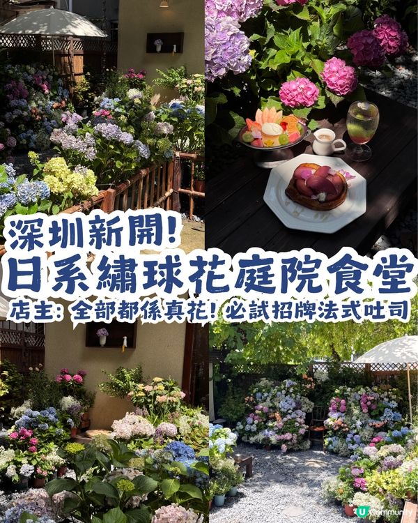 深圳新開日系繡球花庭院食堂💐店主: 全部都係真花! 必試招牌法式吐司