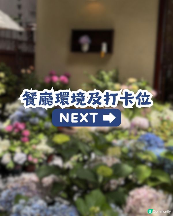 深圳新開日系繡球花庭院食堂💐店主: 全部都係真花! 必試招牌法式吐司