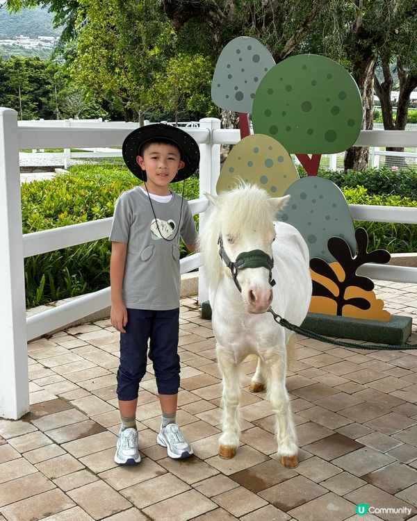 HkJC - 小馬大本營🫡🐎