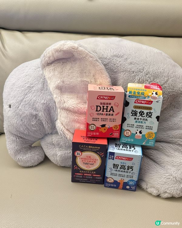 星級爸媽精選！👶✨荷花展掃貨筍！💪