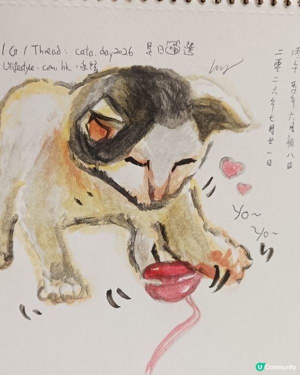 小花貓