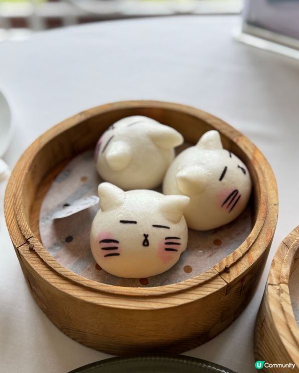 小白鷺餐廳 工作坊、彈床、積木📷打卡