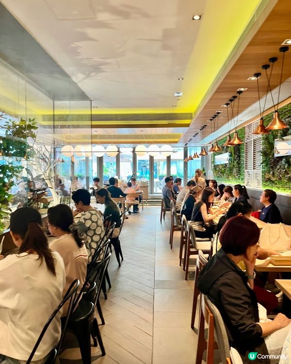 🌿 沙田Beans The Greenhouse ❤️高質歐...