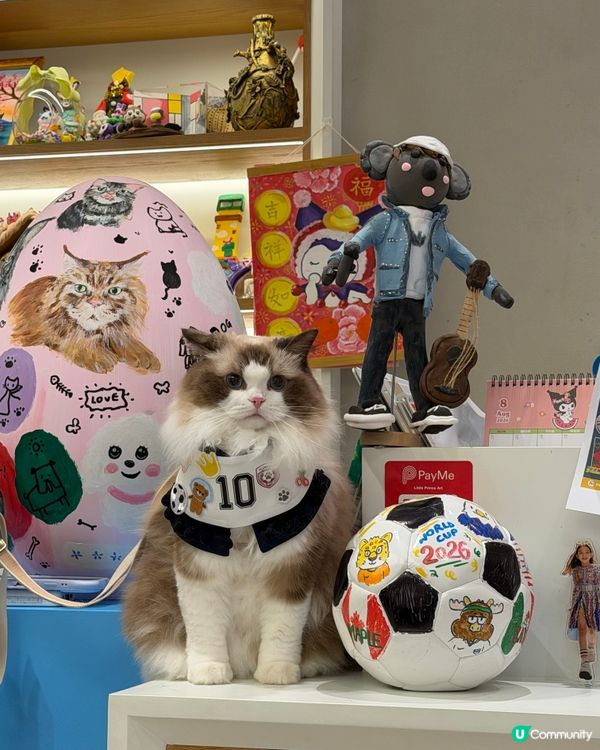 全新升級「SOUTHSIDE PAWTY」室內貓狗樂園