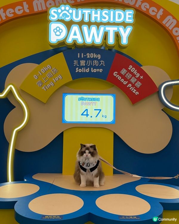 全新升級「SOUTHSIDE PAWTY」室內貓狗樂園