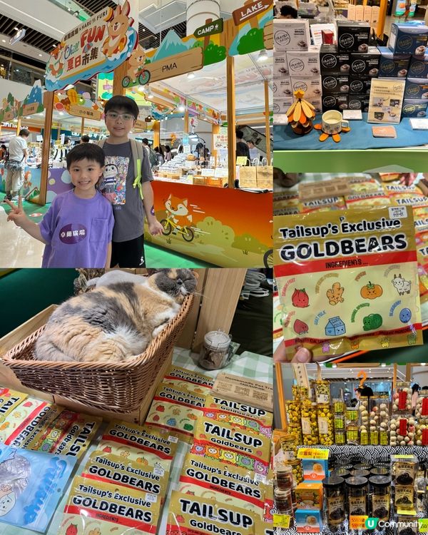 屯門新打卡點：卓爾廣場Chill Fun 夏令營🏕️🥕🦊✨